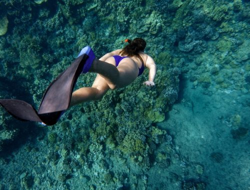 acqua tour privativo fernando de noronha