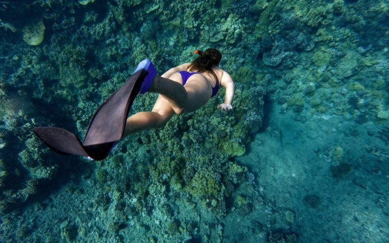 acqua tour privativo fernando de noronha