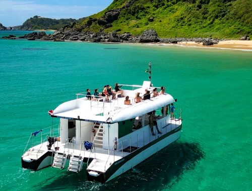 barco tradicional fernando de noronha