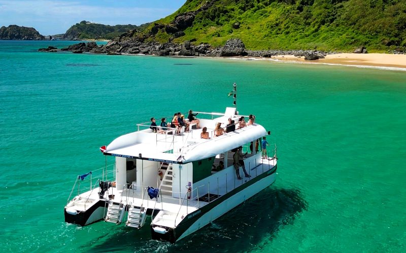 barco tradicional fernando de noronha