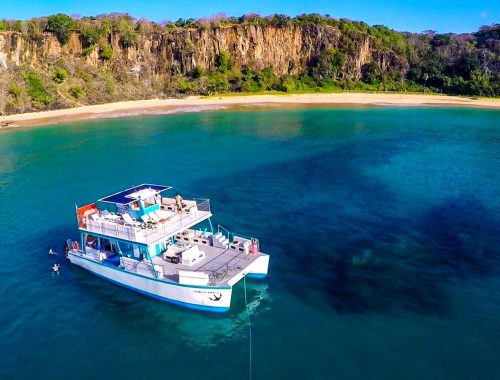 catamarã com almoço fernando de noronha
