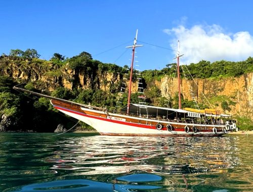 escuna fernando de noronha