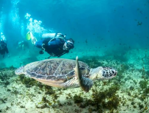 mergulho de cilindro embarcado fernando de noronha