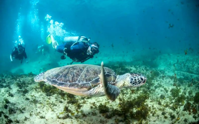 mergulho de cilindro embarcado fernando de noronha