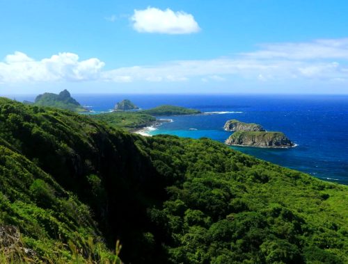trilha capim açú fernando de noronha