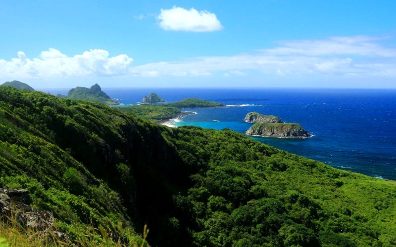 trilha capim açú fernando de noronha